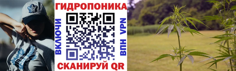 Наркотические вещества Новосокольники Галлюциногенные грибы  Кокаин  Альфа ПВП  Меф  Гашиш  Канабис  АМФЕТАМИН 