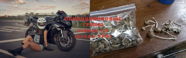 индика Волосово
