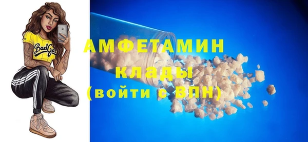 индика Волосово