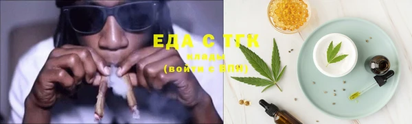 индика Волосово
