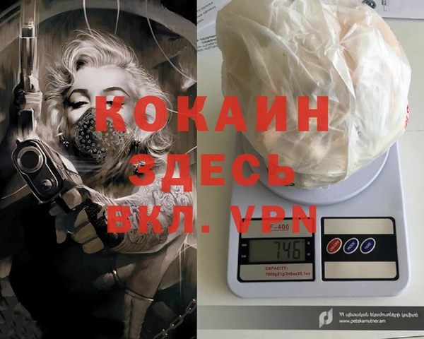 индика Волосово