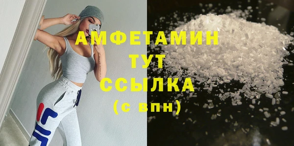 индика Волосово