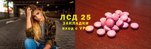 индика Волосово