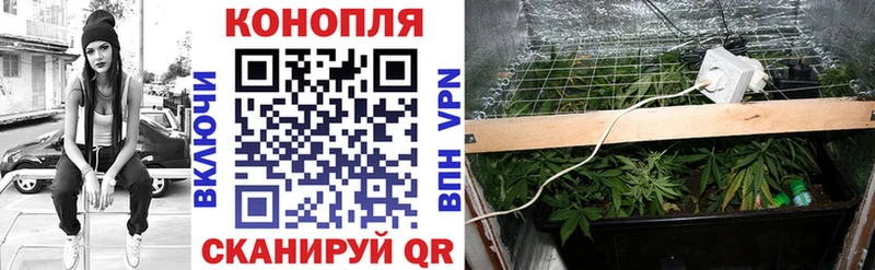 Шишки марихуана тримм  даркнет состав  Новосокольники  omg вход 
